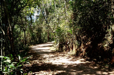 Pico do Urubu… Onde tudo começou!