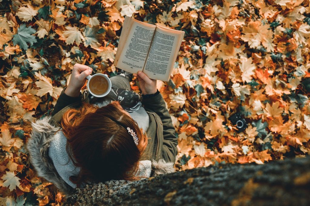 reading, book, study-5920739.jpg